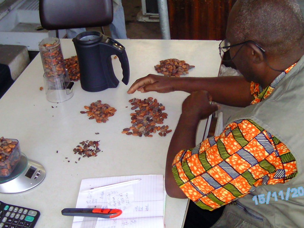 cacao evariste.jpg